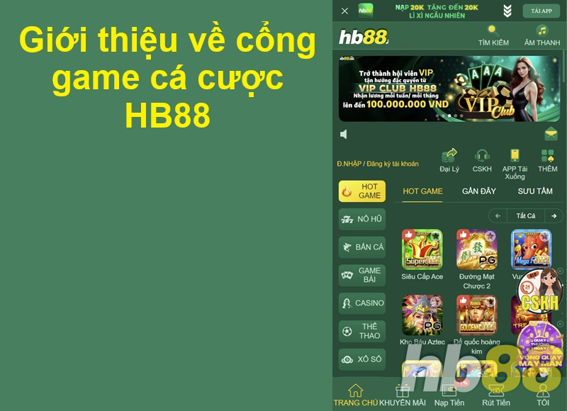 Giới thiệu về cổng game cá cược HB88